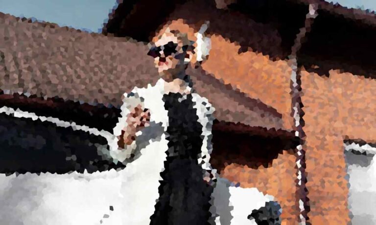 Levi Kingston Reveals Massive Income From Live Streams